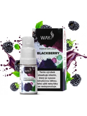 Ostatní Liquid WAY to Vape Blackberry 10ml-12mg